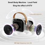 K12+ Portable Karaoke Speaker With Double Wireless Microphone