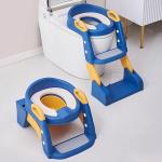 2-in-1 Baby Potty Training Seat with Ladder