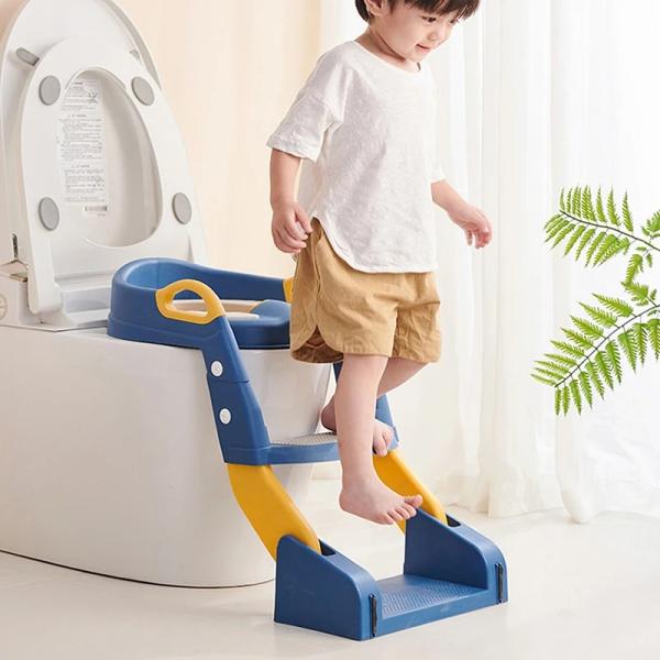2-in-1 Baby Potty Training Seat with Ladder